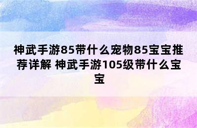 神武手游85带什么宠物85宝宝推荐详解 神武手游105级带什么宝宝